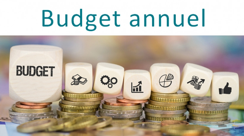 budget annuel