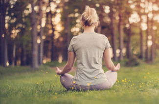 Nature et Santé... Que nous apprend la science ?