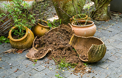 Pots de fleurs